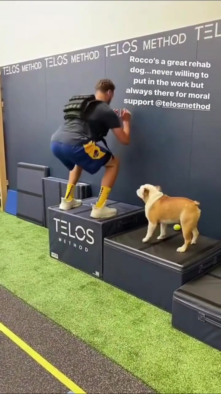 NBA最出名的小狗湯普森愛(ài)犬Rocco近期離世