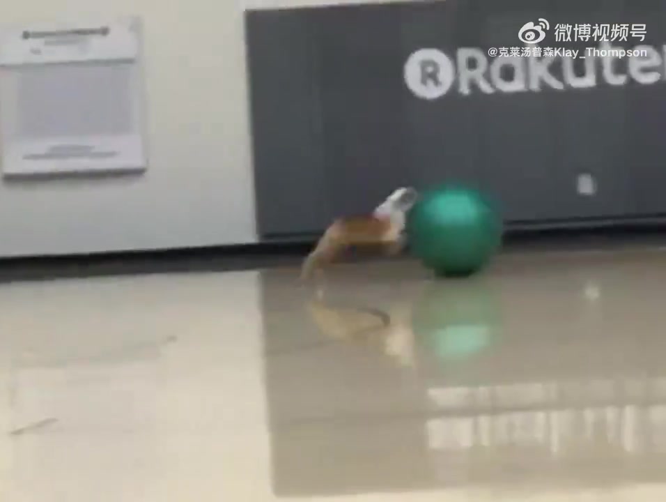 好可愛(ài)啊克萊的愛(ài)犬Rocco去世了他一定很傷心吧