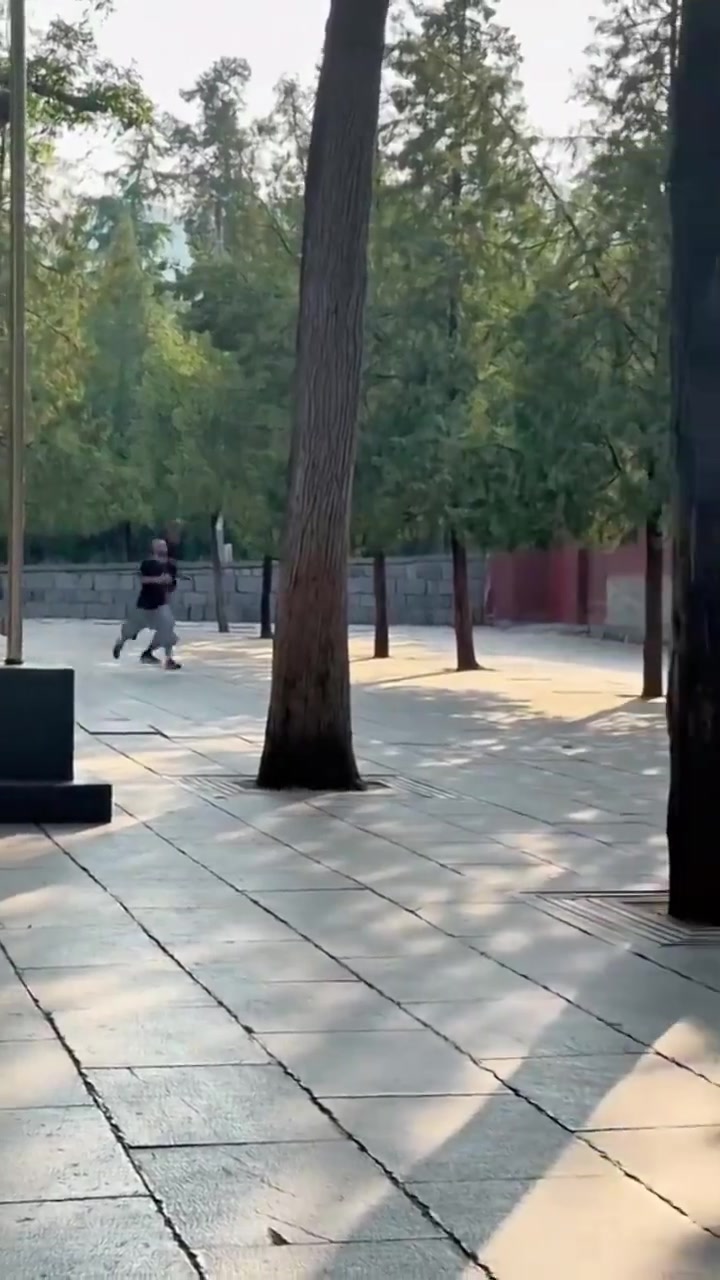 修行第五天了文班這第一高僧跑起來(lái)一步頂別人兩步吧