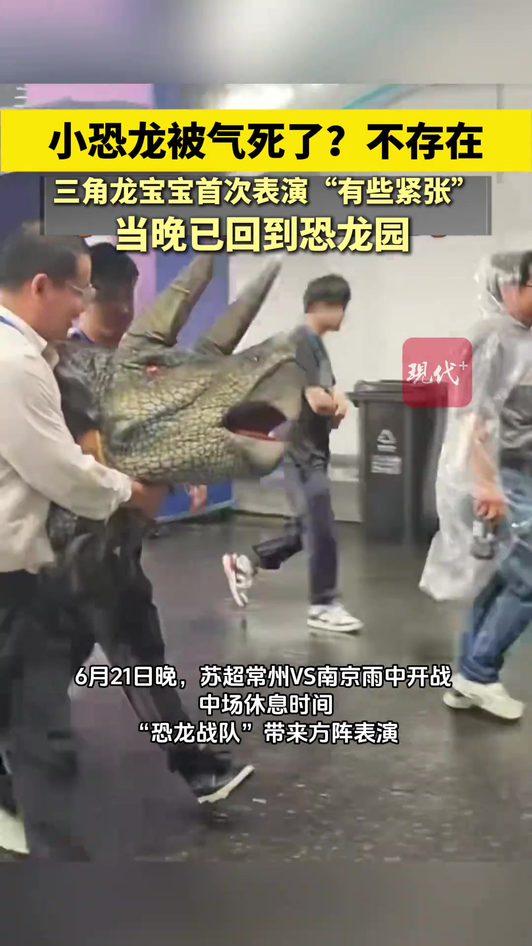 小恐龍被常州氣死了不存在三角龍寶寶首次表演有些緊張
