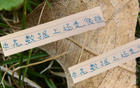 申花領(lǐng)跑榜首，進(jìn)球數(shù)第一，失球倒數(shù)第二少，18輪不??！