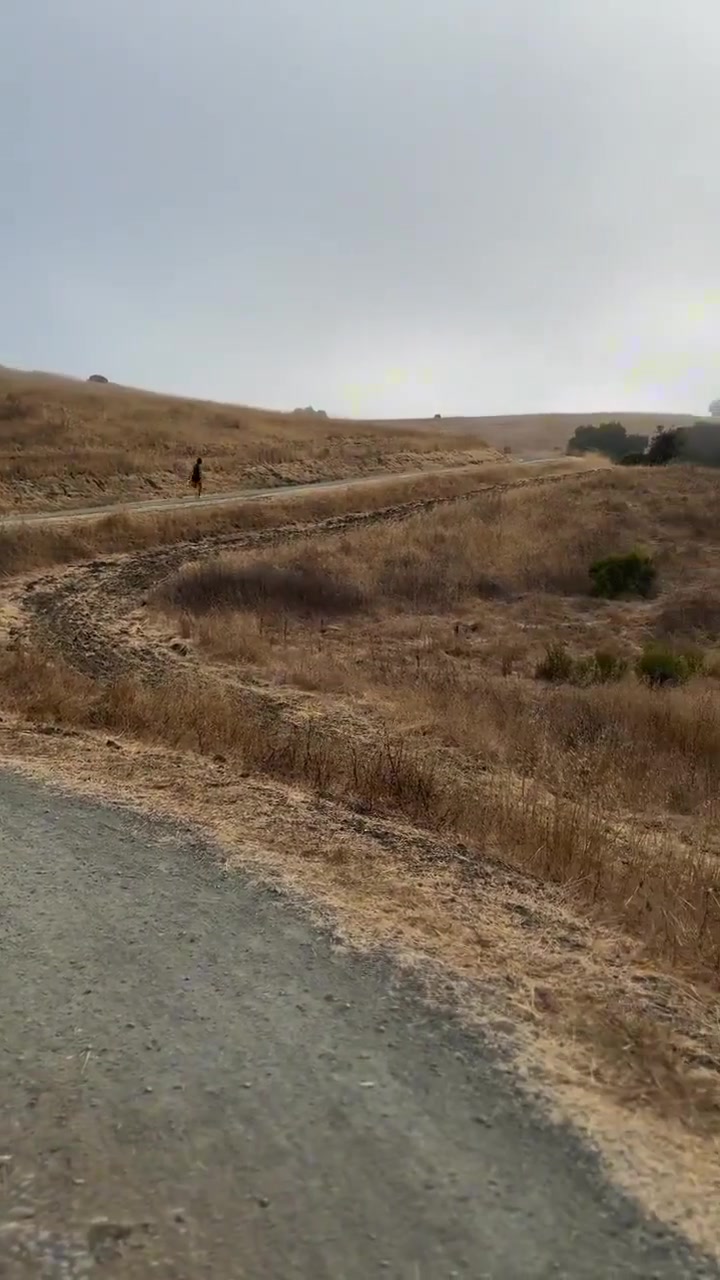 難怪防守者跟不上庫里休賽期這跑山訓(xùn)練也太猛了?