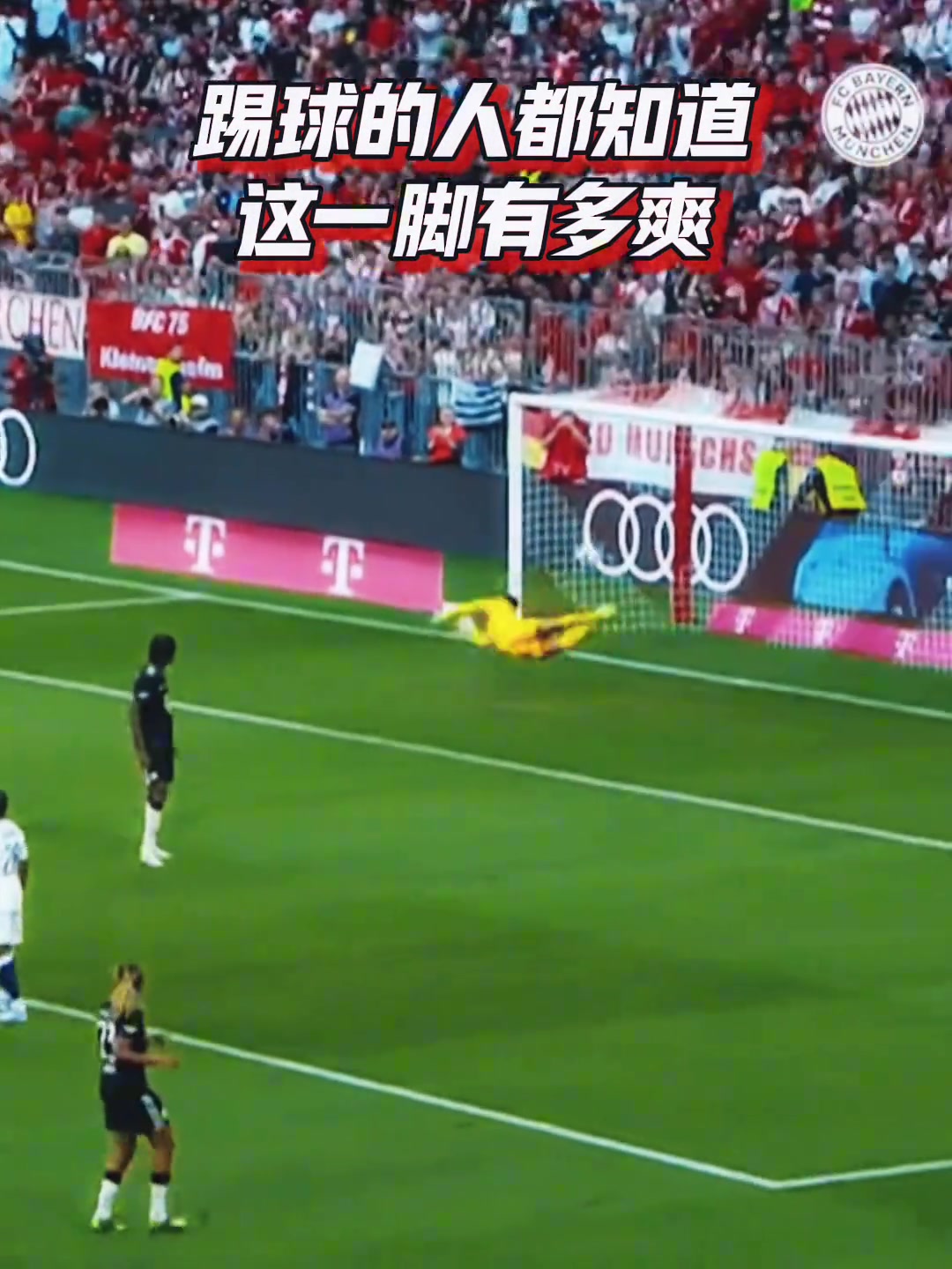 英雄出少年拜仁球迷終于迎來屬于我們的青春風(fēng)暴了