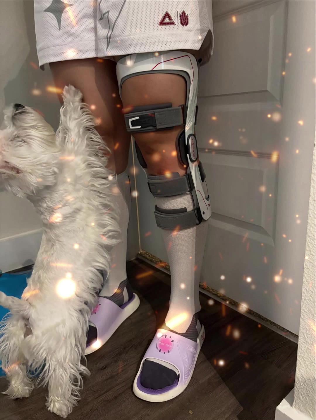 小寶裙子和護(hù)具很搭惦記著牌局的佩奇評(píng)論被閨蜜背叛了