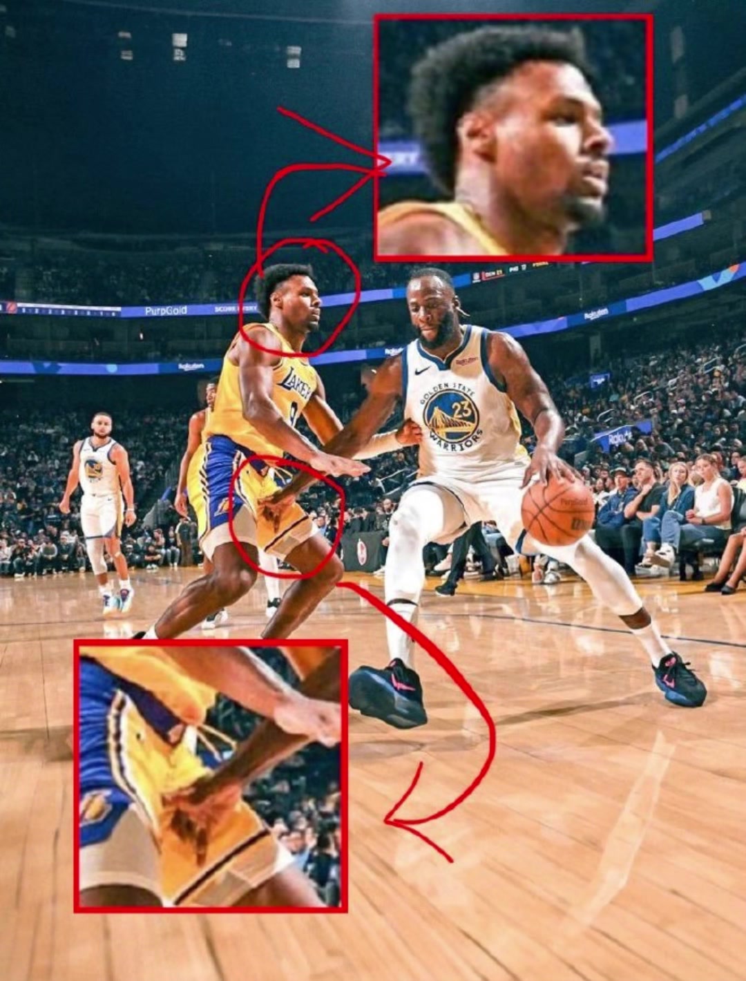 球迷放大賽場細節(jié)追夢突破過程中居然抓住了布朗尼的那個地方