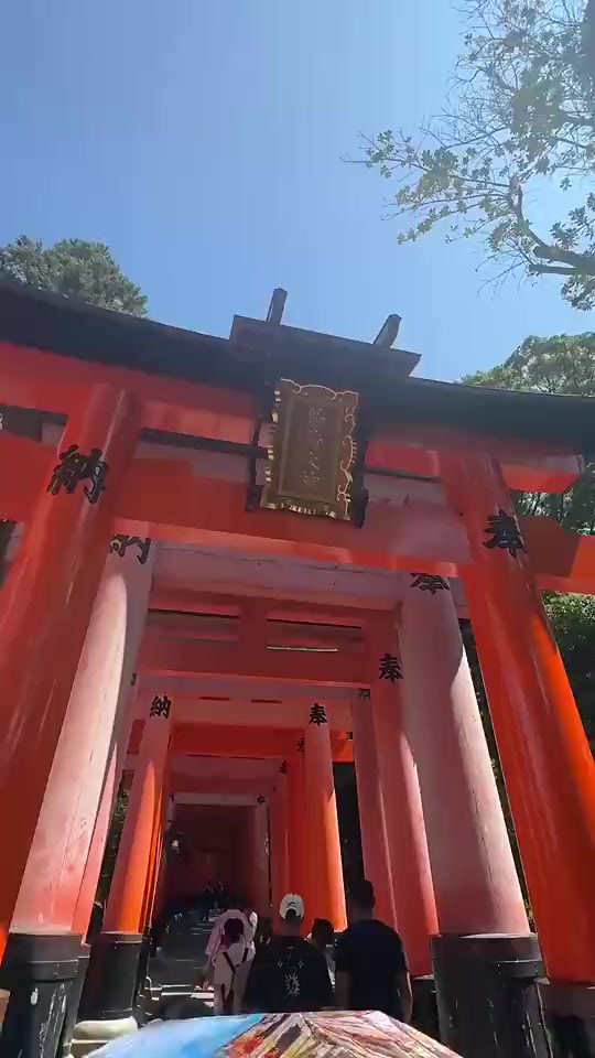 穿上旗袍的野球場肘姐氣質(zhì)一下子就起來了