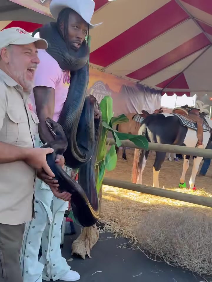 霍華德夫妻和蟒蛇玩耍火花把蛇纏身上嫂子嚇得撒腿跑