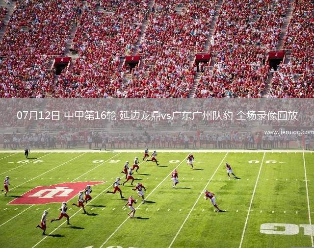 07月12日 中甲第16輪 延邊龍鼎vs廣東廣州隊(duì)豹 全場錄像回放
