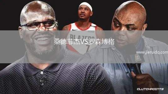 桑德菲杰VS羅森博格