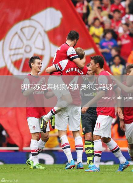 明尼蘇達(dá)森林狼VS新奧爾良鵜鶘