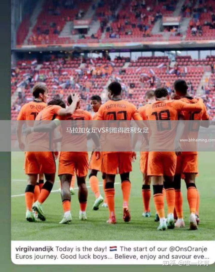 鄧博施VS瓦爾韋克