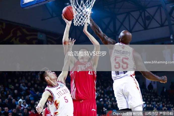 卡爾斯魯厄VS費倫茨瓦羅斯