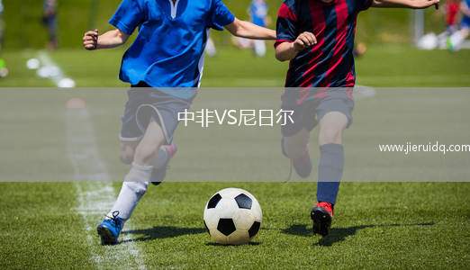 中非VS尼日爾