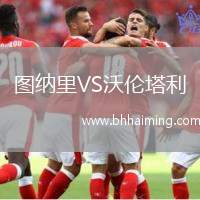 曼托瓦VS阿雷佐