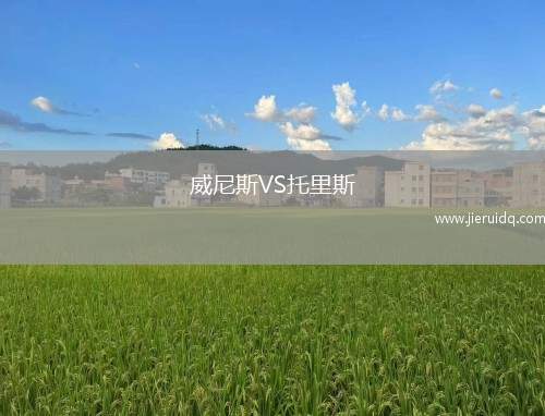 威尼斯VS托里斯