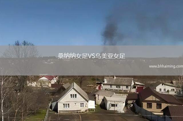 桑德豪森VSFSV法蘭克福