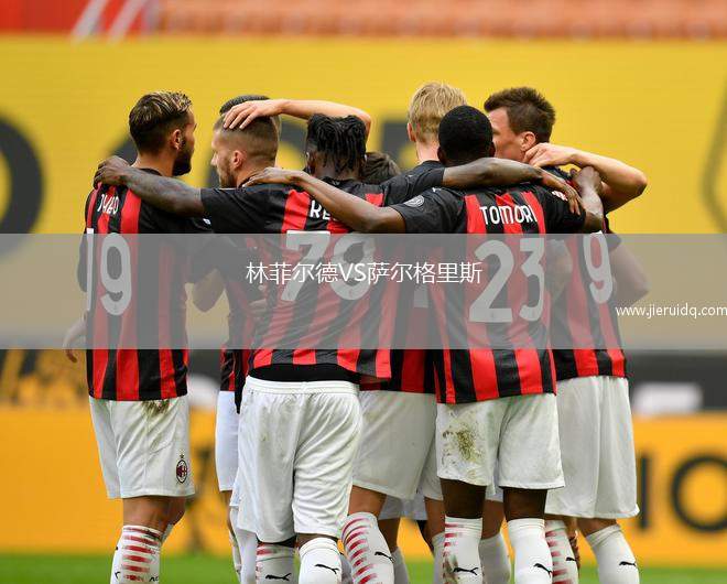 林菲爾德VS薩爾格里斯