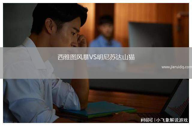 西雅圖風(fēng)暴VS明尼蘇達(dá)山貓