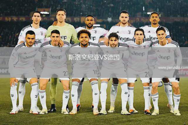 斯洛文尼亞VS德國