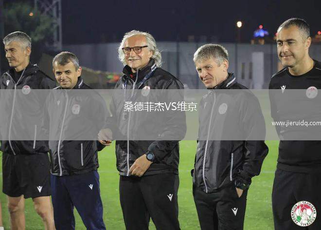 桑德菲杰VS維京