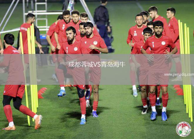 成都蓉城VS青島海牛