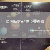 海耶斯VS懷特豪克