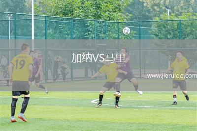 加納VS馬里