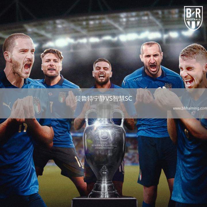 本菲卡VS圣克拉拉