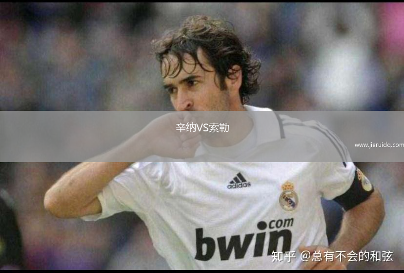 辛納VS索勒