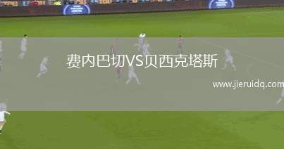 費內(nèi)巴切VS貝西克塔斯