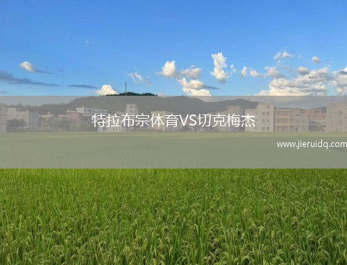 特拉布宗體育VS切克梅杰