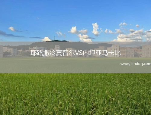 耶路撒冷夏普爾VS內(nèi)坦亞馬卡比