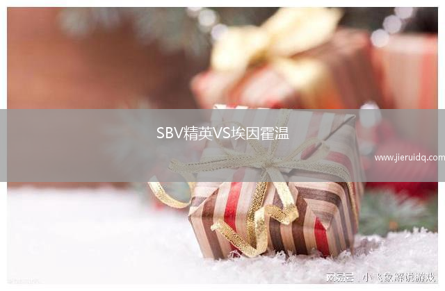 SBV精英VS埃因霍溫