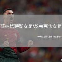 史泰比亞VS曼托瓦