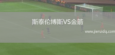 斯泰倫博斯VS金箭