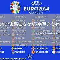 布蘭VS博德閃耀