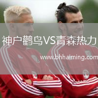 薩里迪納摩VS烏迪內(nèi)